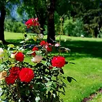 Gailtaler Alinkhof Apartman