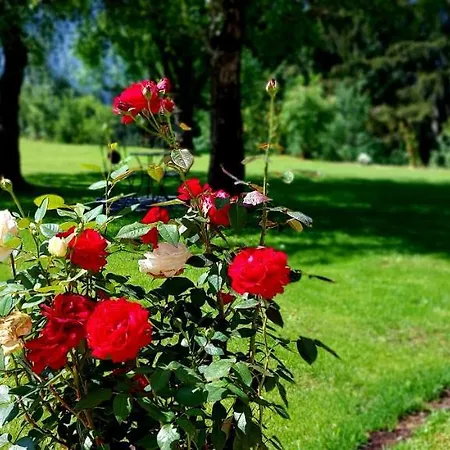 Gailtaler Alinkhof Apartament