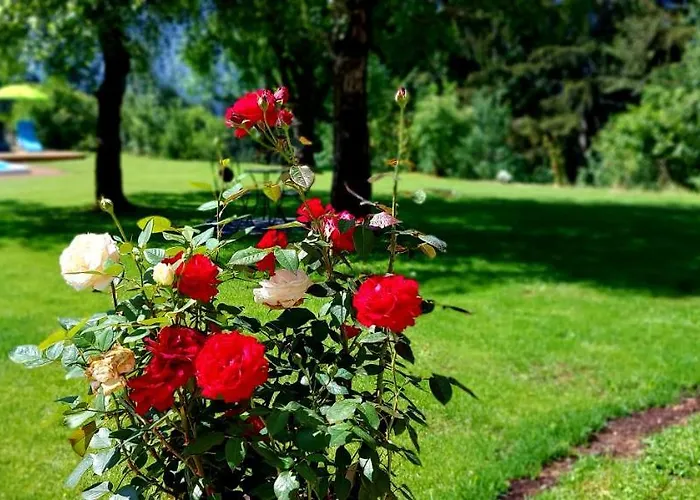 Gailtaler Alinkhof דירה